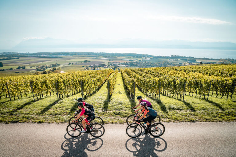 image_Cyclisme_vignes